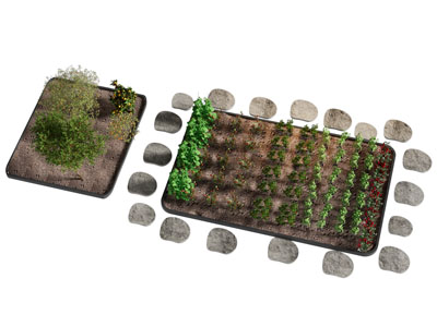 现代菜园子 菜地