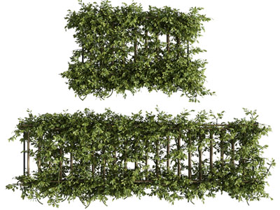 现代花架植物 藤蔓植物墙3d模型 现代花架植物 藤蔓植物墙