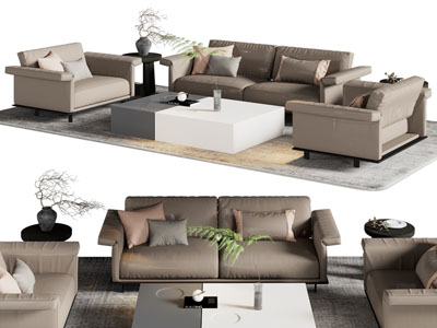 现代双人 单人沙发和茶几组合