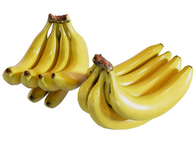 现代香蕉 水果食物