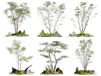 现代花草树木景观园艺小品