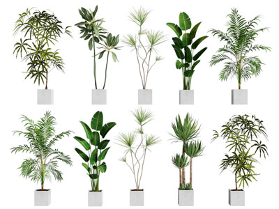 现代方形花盆盆景盆栽3d模型 现代方形花盆盆景盆栽