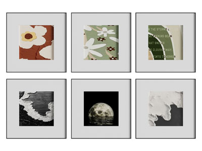 现代植物装饰挂画