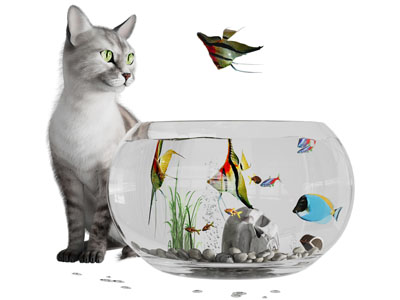 现代玻璃鱼缸 摆件组合