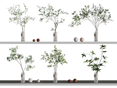 现代玻璃花瓶花卉3d模型 现代玻璃花瓶花卉