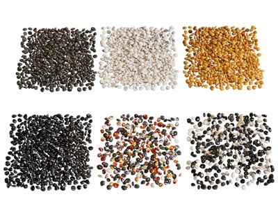 现代鹅卵石 石头 景观石子