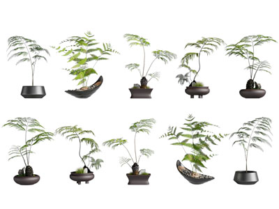 新中式桌面盆景盆栽3d模型 新中式桌面盆景盆栽