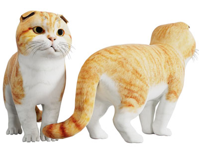 现代橘猫 爬行动物