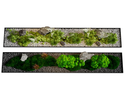 现代石子 植被 花草景观园艺小品