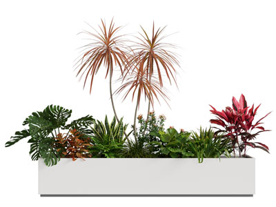 现代花盆花卉植物盆景盆栽3d模型 现代花盆花卉植物盆景盆栽