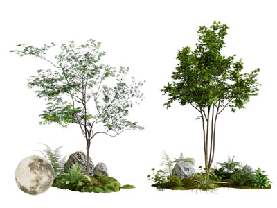 现代景观树木3d模型 现代景观树木