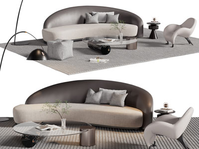 现代弧形多人沙发 休闲椅子和茶几组合