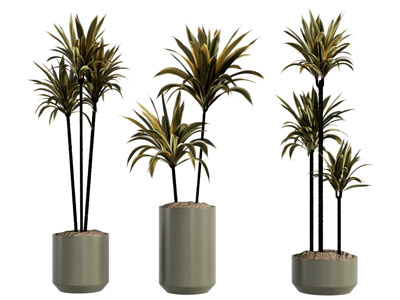 现代花盆盆景盆栽植物3d模型 现代花盆盆景盆栽植物