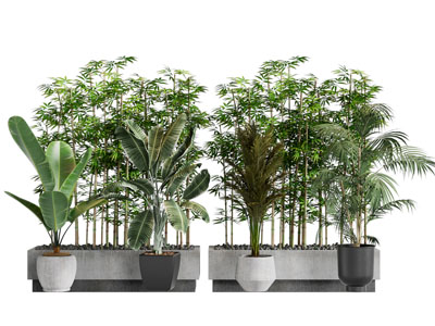 现代花池 竹子 盆景盆栽植物3d模型 现代花池 竹子 盆景盆栽植物