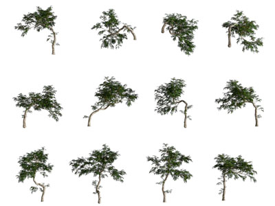 现代树木 灌木植物3d模型 现代树木 灌木植物