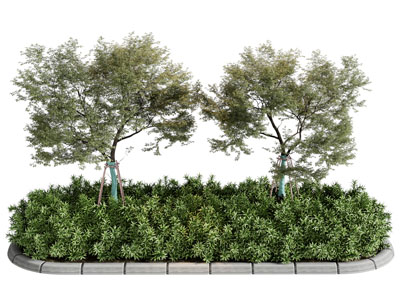 现代花坛 灌木丛 树木景观园艺小品