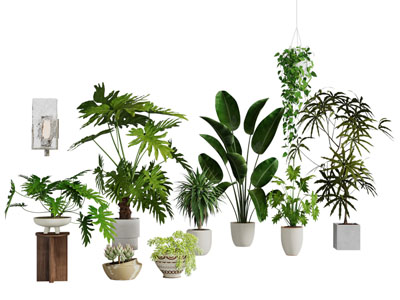 现代花盆盆景盆栽植物3d模型 现代花盆盆景盆栽植物