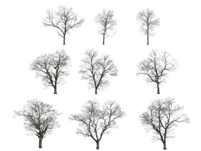 现代树木3d模型 现代树木