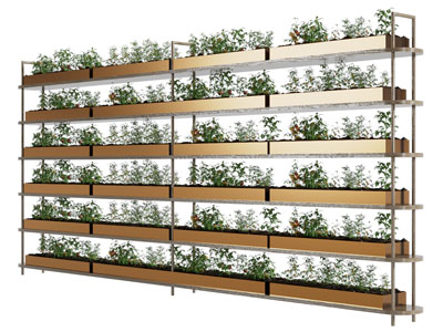 现代花架 盆景盆栽植物3d模型 现代花架 盆景盆栽植物