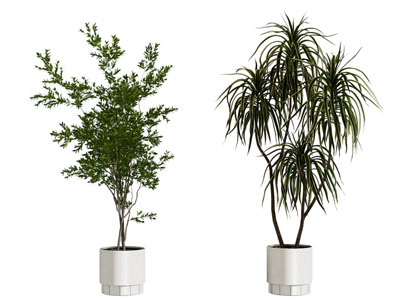 现代花盆盆景盆栽3d模型 现代花盆盆景盆栽