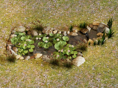 现代荷花池 石头 草地 景观园艺小品