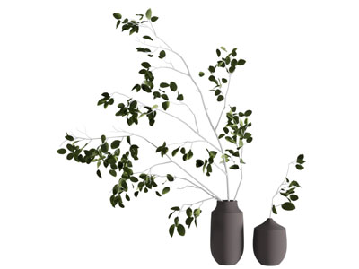 现代花瓶花卉3d模型 现代花瓶花卉