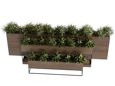 现代花箱 花草植物盆景盆栽3d模型 现代花箱 花草植物盆景盆栽