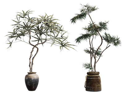 现代花盆盆景盆栽植物3d模型 现代花盆盆景盆栽植物