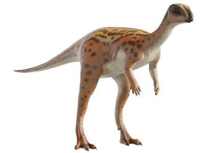 现代儿童恐龙玩具 玩偶3d模型 现代儿童恐龙玩具 玩偶