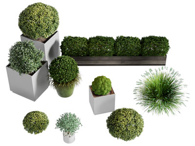 现代花箱 花池灌木盆景盆栽植物3d模型 现代花箱 花池灌木盆景盆栽植物