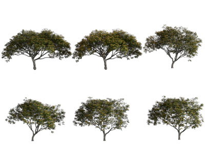 现代树木 灌木丛植物3d模型 现代树木 灌木丛植物