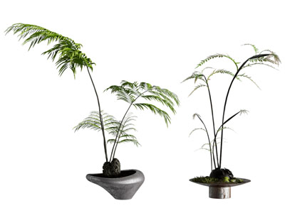 新中式盆景盆栽植物3d模型 新中式盆景盆栽植物