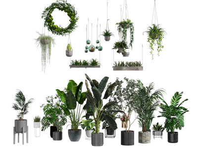 现代花盆盆景盆栽植物 吊篮绿植3d模型 现代花盆盆景盆栽植物 吊篮绿植