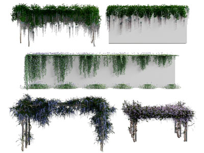 现代藤蔓植物 花架 植物墙3d模型 现代藤蔓植物 花架 植物墙
