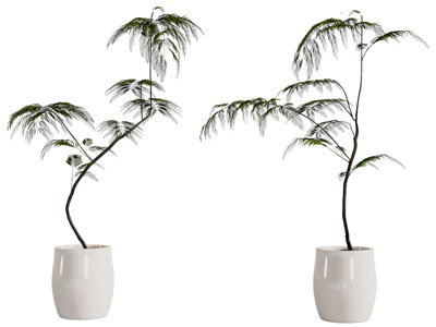 现代花盆盆景盆栽植物3d模型 现代花盆盆景盆栽植物