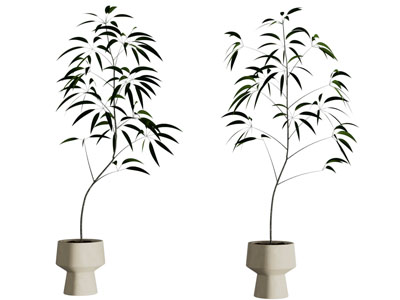 现代花盆盆景盆栽3d模型 现代花盆盆景盆栽