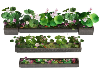 新中式花池 荷花 金鱼 景观园艺小品3d模型 新中式花池 荷花 金鱼 景观园艺小品