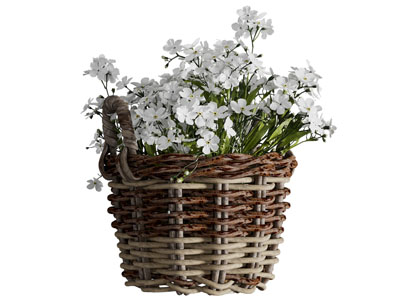 现代编织花篮花卉3d模型 现代编织花篮花卉