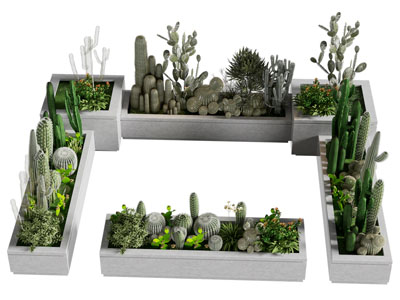 现代花池 仙人掌 仙人球 多肉植物盆景盆栽3d模型 现代花池 仙人掌 仙人球 多肉植物盆景盆栽