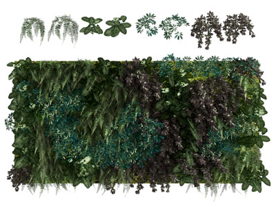 现代植物墙3d模型 现代植物墙