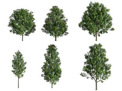 现代景观树木3d模型 现代景观树木