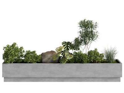 现代花池花草植物盆景盆栽3d模型 现代花池花草植物盆景盆栽