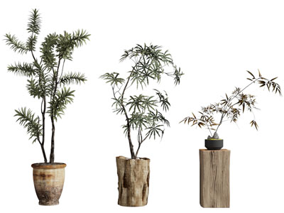 侘寂风陶艺花盆盆景盆栽植物3d模型 侘寂风陶艺花盆盆景盆栽植物