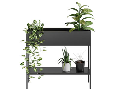 现代花箱 花盆盆景盆栽植物3d模型 现代花箱 花盆盆景盆栽植物