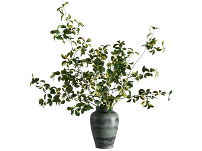 现代花瓶花卉3d模型 现代花瓶花卉