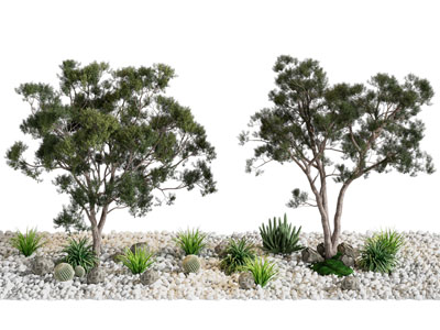 现代石子 松树 花草景观园艺小品3d模型 现代石子 松树 花草景观园艺小品