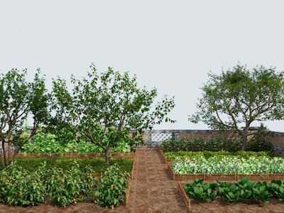 自然风菜地景观