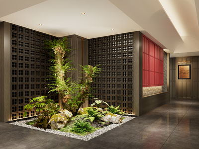 室内造景 植物造景