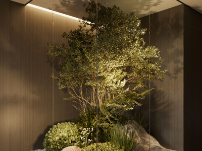 现代植物景观造景