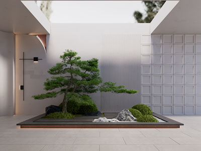 新中式室内造景 植物堆